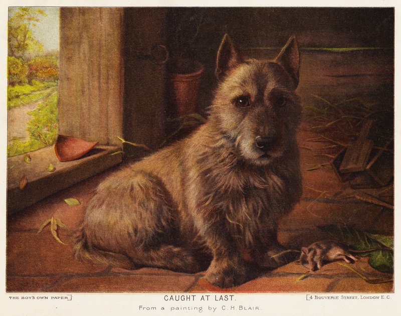 Caught at Last by Charles Henry Blair