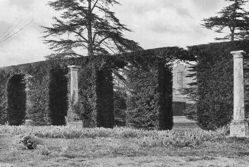 A Stately Arched Hedge by Charles Latham