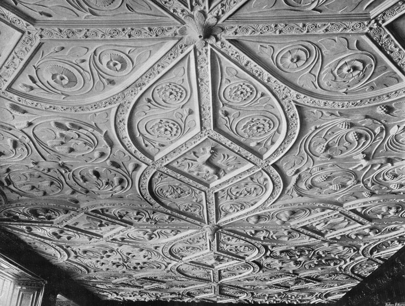 Ceiling of the Drawing-Room by Charles Latham