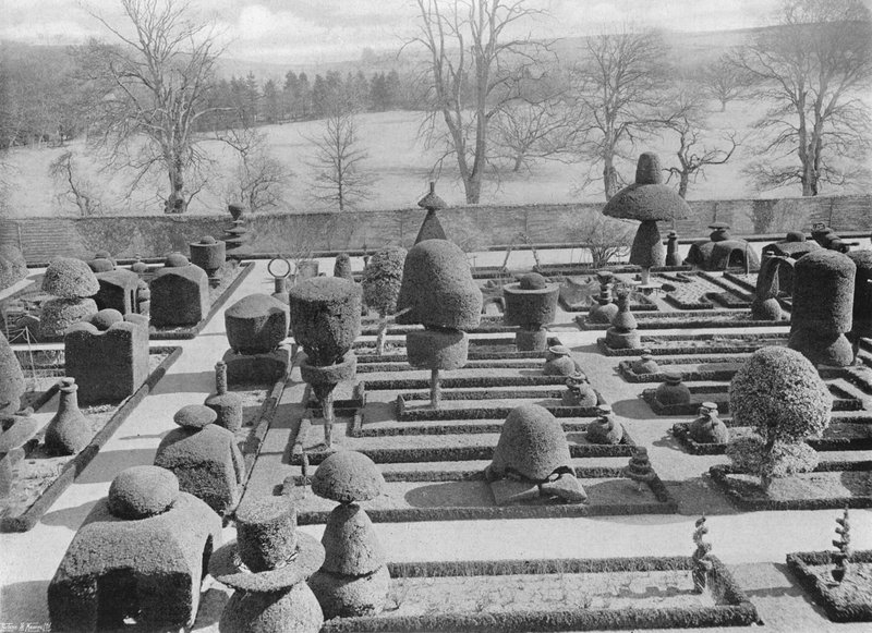 Levens Hall: The Topiary Garden by Charles Latham