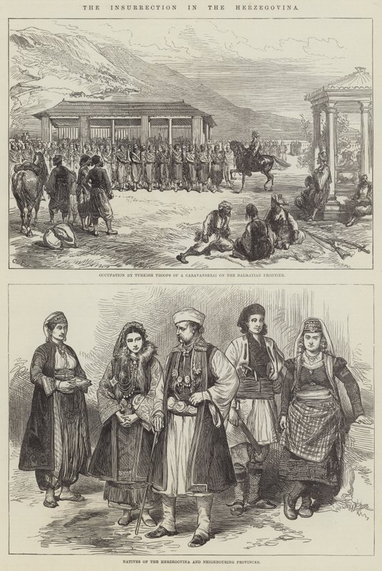 The Insurrection in the Herzegovina by Sir John Charles Robinson