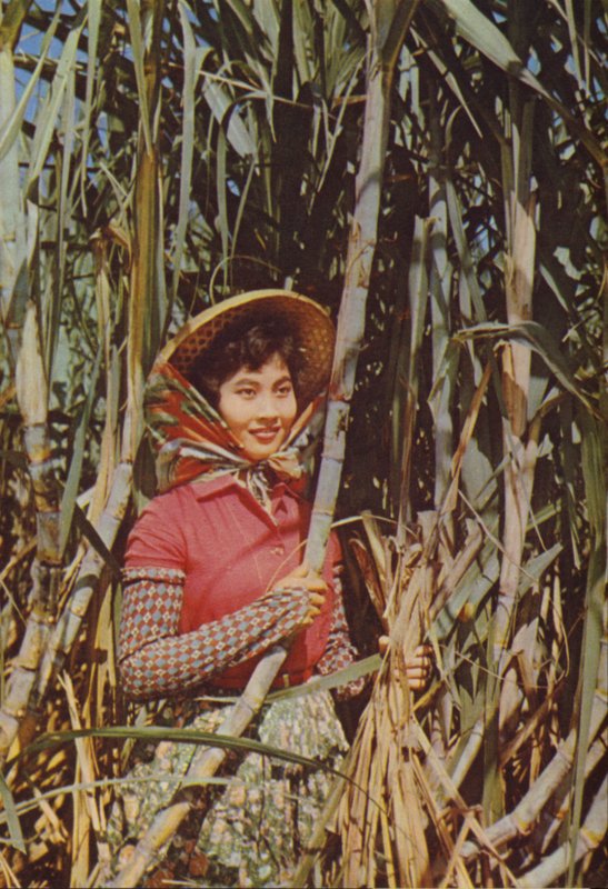 Taiwan: Cane Sugar by Chinese Photographer