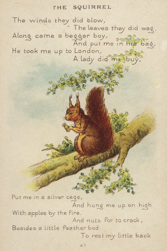 Nursery rhyme: The Squirrel by Constance Haslewood