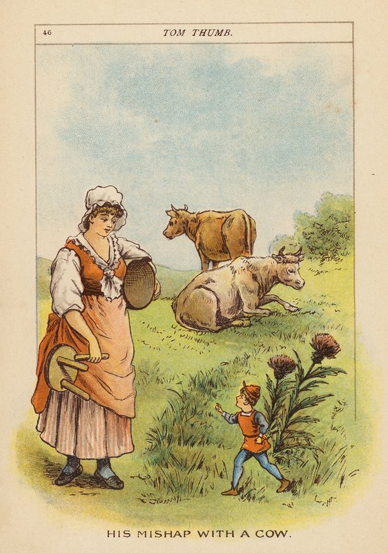 Tom Thumb by Constance Haslewood