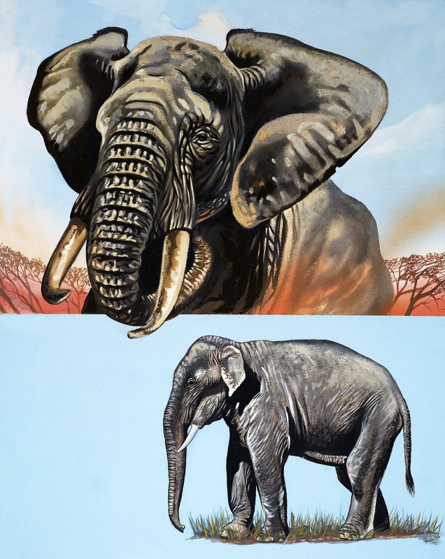 All Sorts of Elephants by David Pratt