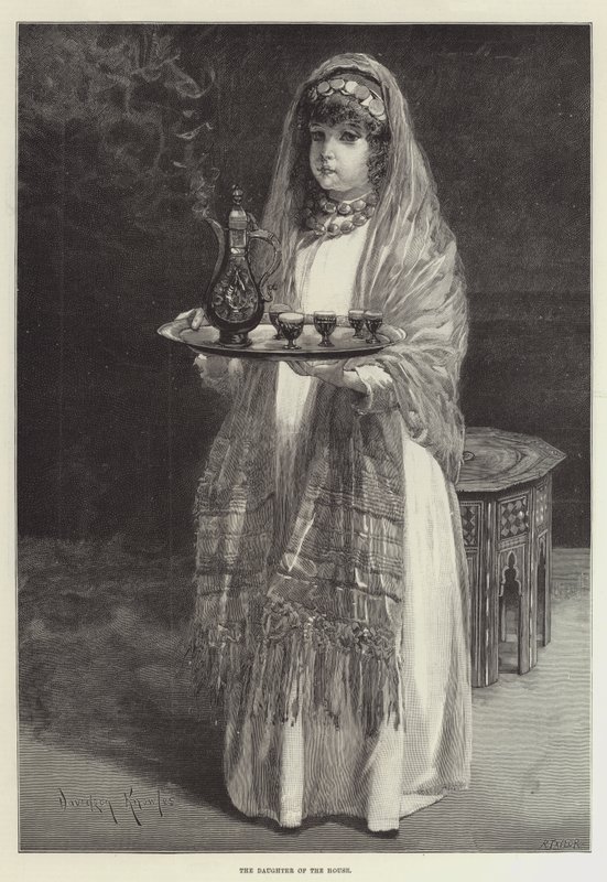 The Daughter of the House by Davidson Knowles