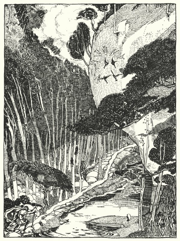 The Dim Forest by Dion Clayton Calthrop