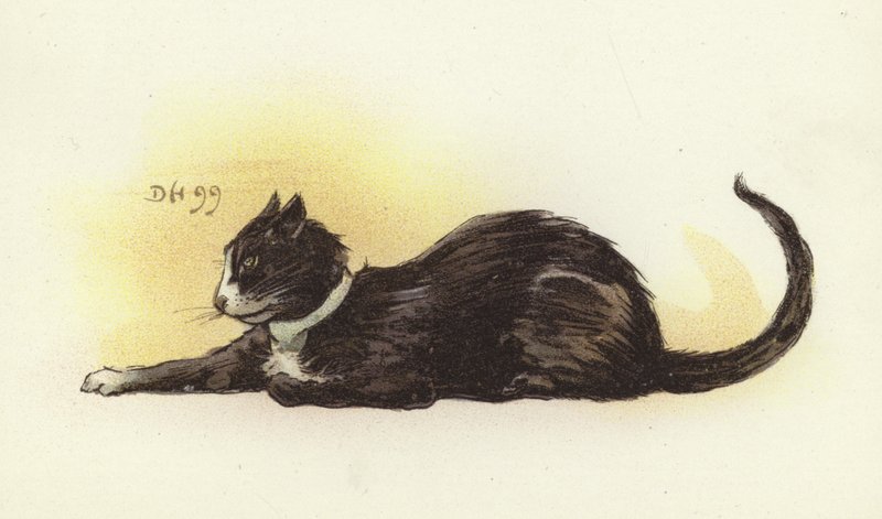 Savoy Cat by Dudley Hardy
