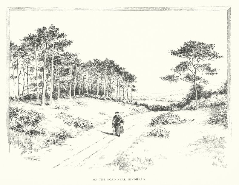On the Road near Hindhead by Duncan Moul