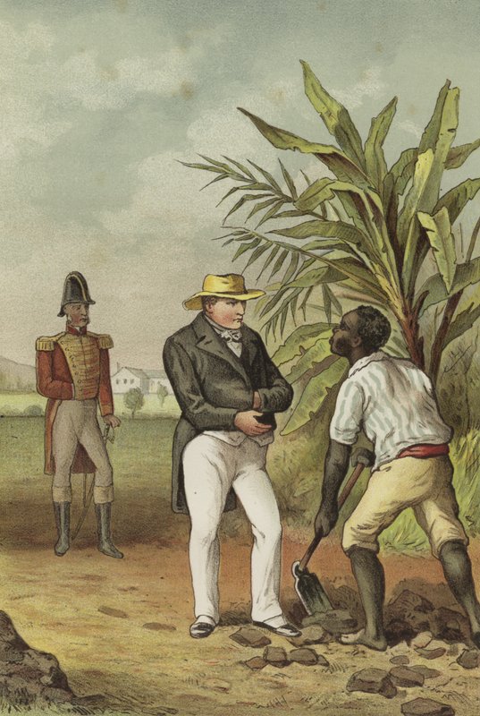 Napoleon on St Helena by Dutch School