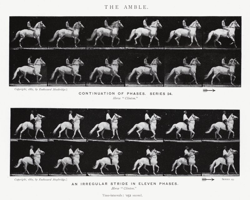 The Amble by Eadweard Muybridge