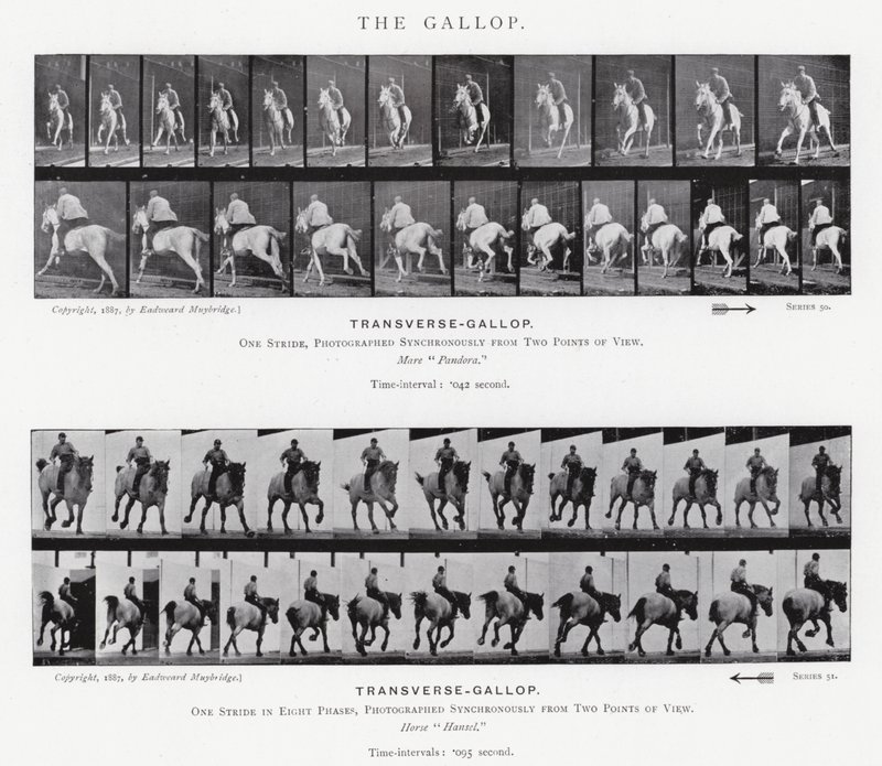 The Gallop by Eadweard Muybridge