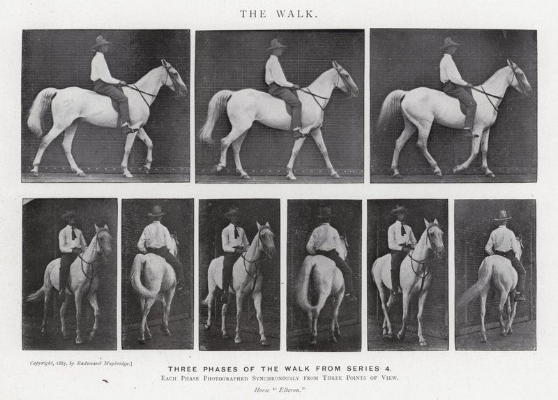 The Walk by Eadweard Muybridge