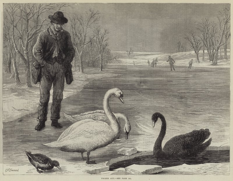 Frozen Out by Ebenezer Newman Downard
