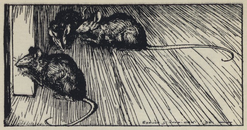 Illustration for Tennyson