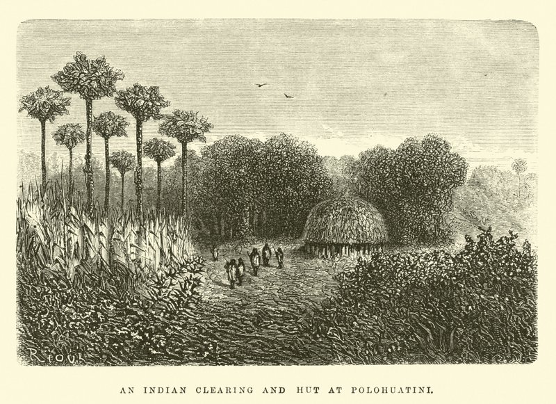 An Indian Clearing and Hut at Polohuatini by Edouard Riou