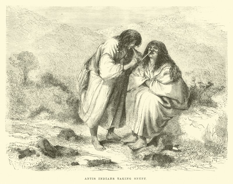 Antis Indians Taking Snuff by Edouard Riou
