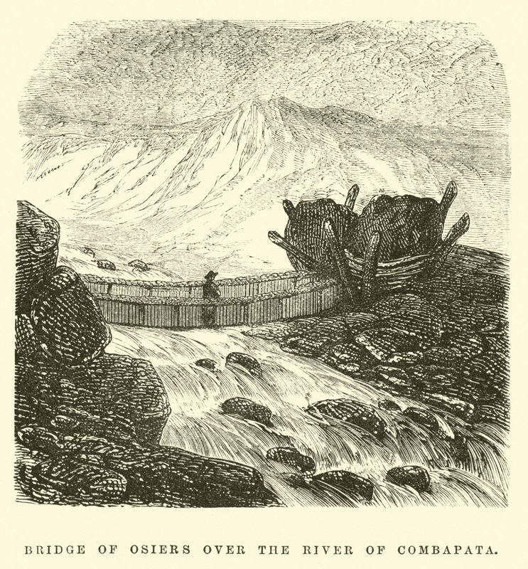 Bridge of Osiers over the River of Combapata by Edouard Riou