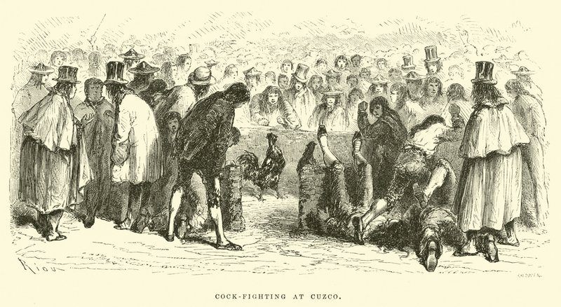 Cock-Fighting at Cuzco by Edouard Riou