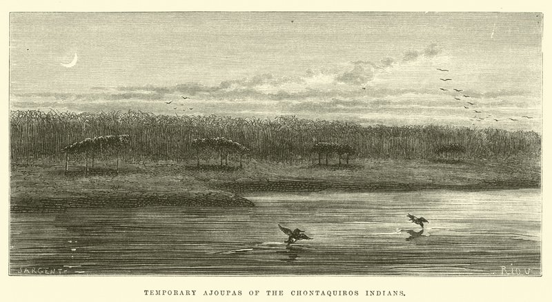 Temporary Ajoupas of the Chontaquiros Indians by Edouard Riou