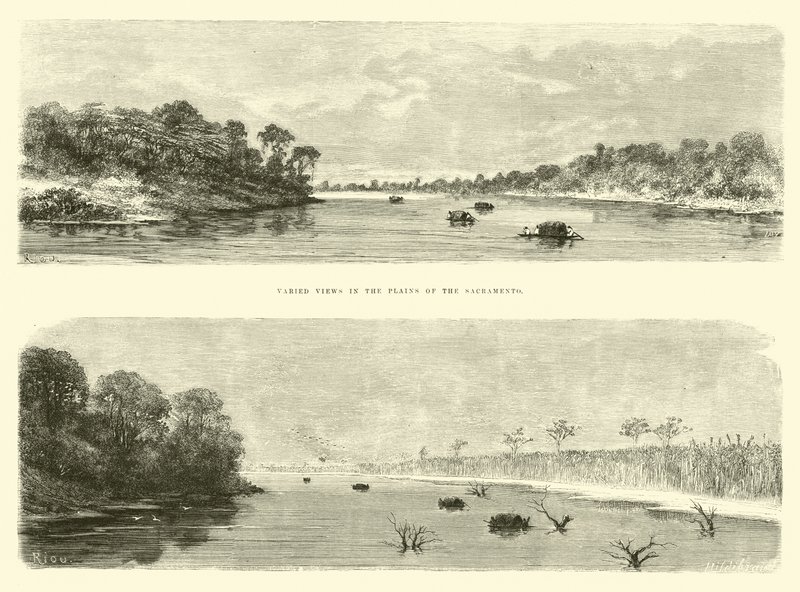 Varied Views in the Plains of the Sacramento by Edouard Riou