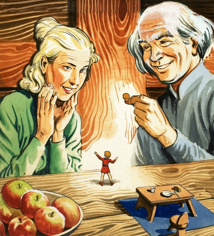 The Story of Tom Thumb by Eduardo Teixeira Coelho