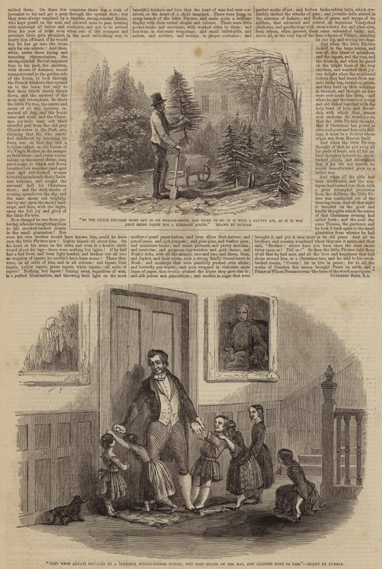 Illustrations for The Little Fir Tree by Edward Duncan