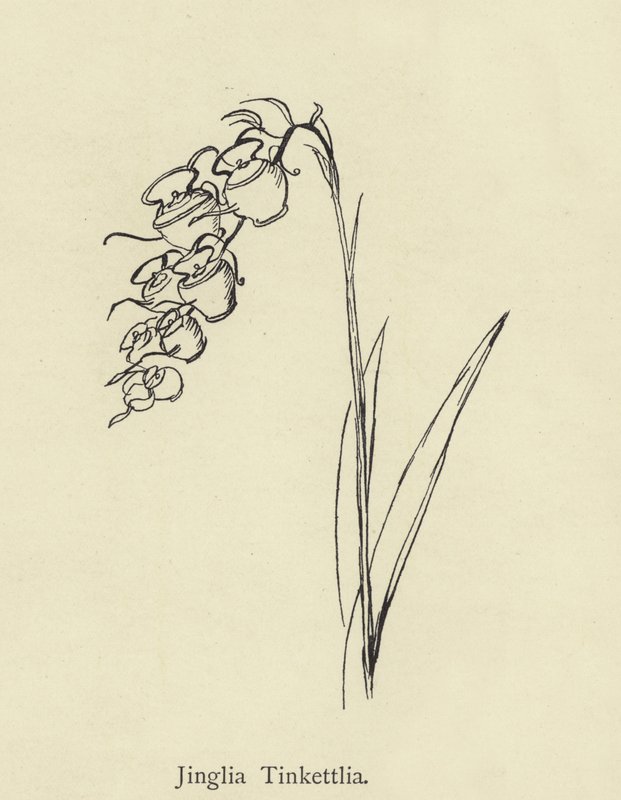 Jinglia Tinkettlia by Edward Lear