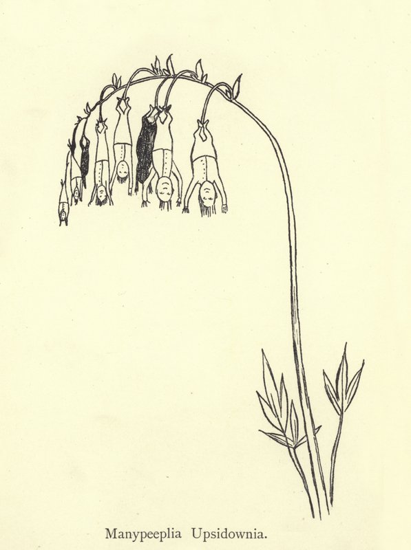 Manypeeplia Upsidownia by Edward Lear