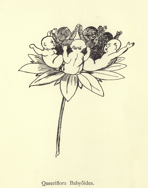 Queeriflora Babyoides by Edward Lear