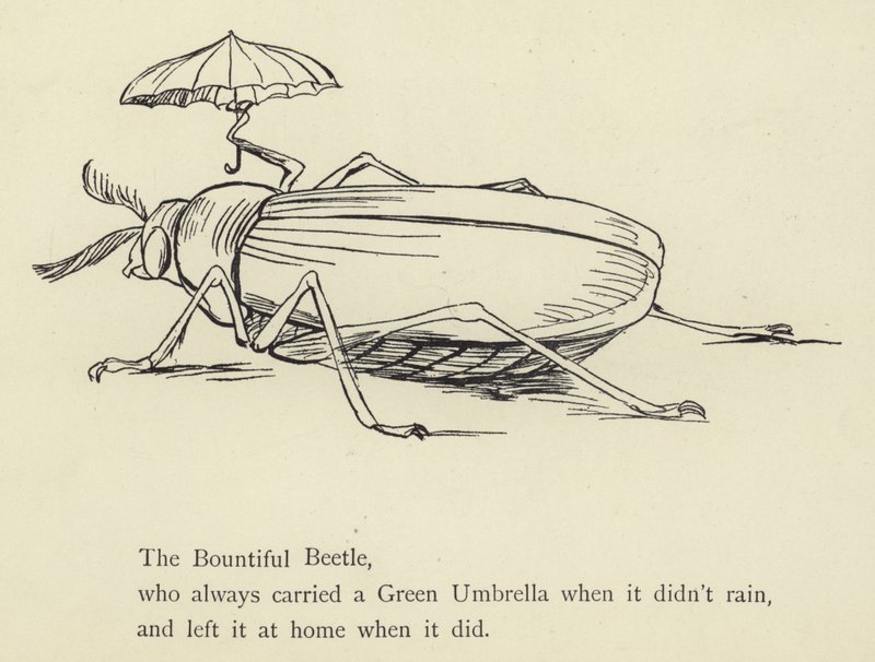 The Bountiful Beetle by Edward Lear
