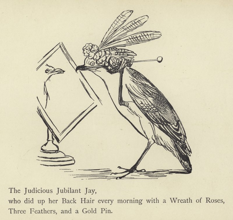 The Judicious Jubilant Jay by Edward Lear