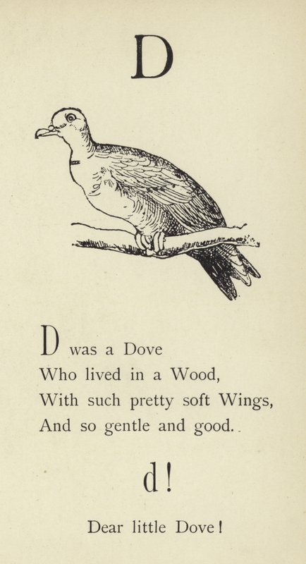 The Letter D by Edward Lear