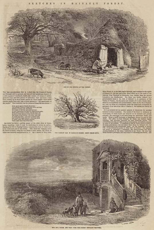 Sketches in Hainault Forest by Edward Duncan