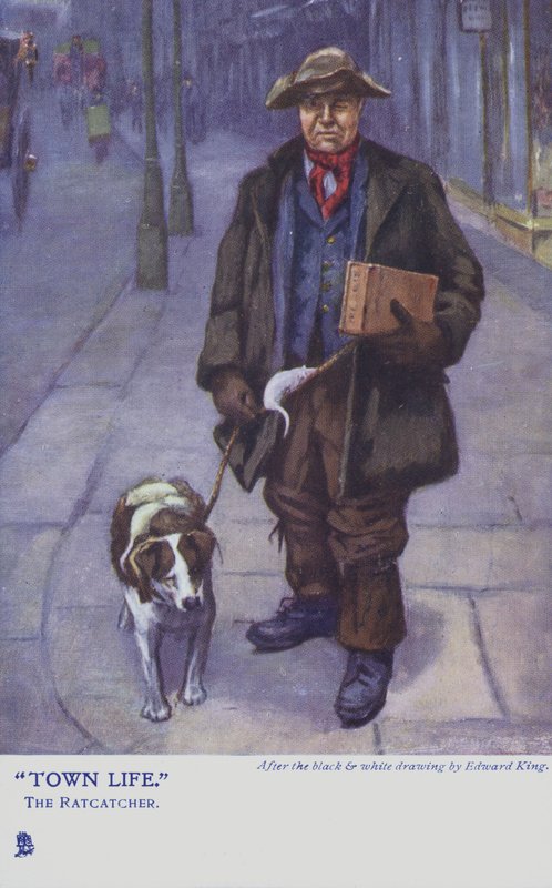 Rat Catcher with His Dog by Edward R. King