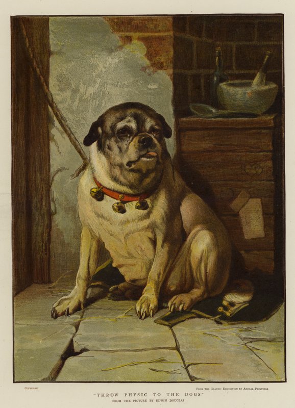 Throw Physic to the Dogs by Edwin Douglas