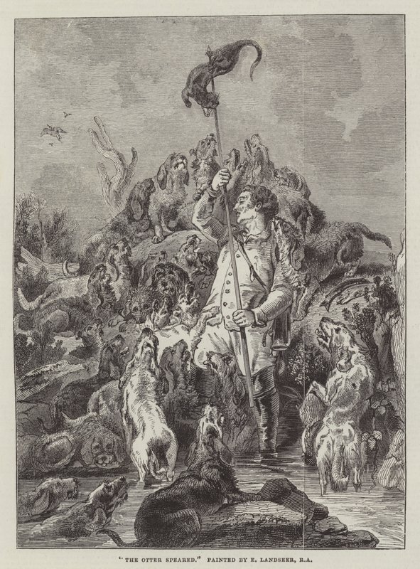 The Otter Speared by Edwin Landseer