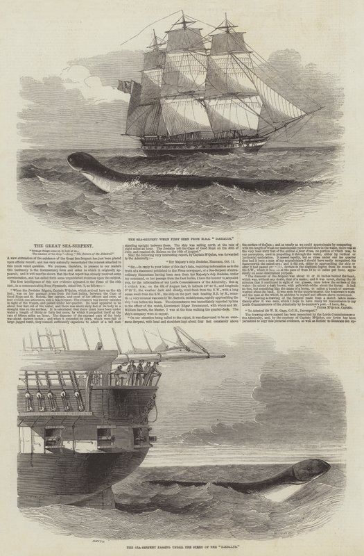 The Great Sea-Serpent by Edwin Weedon