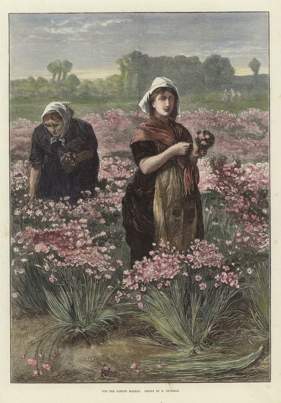 For the London Market by Edwin Buckman