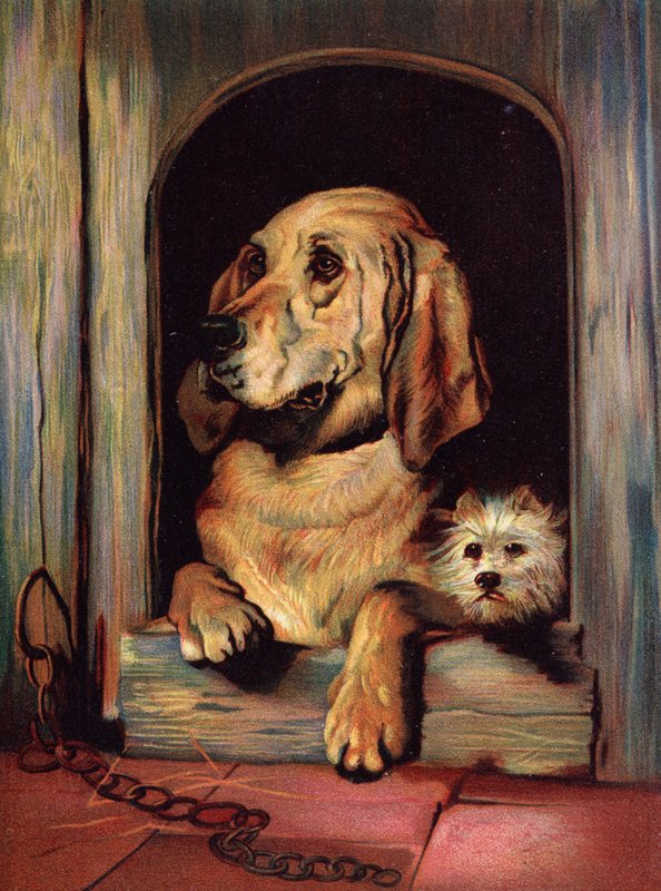Dignity and Impudence by Edwin Landseer