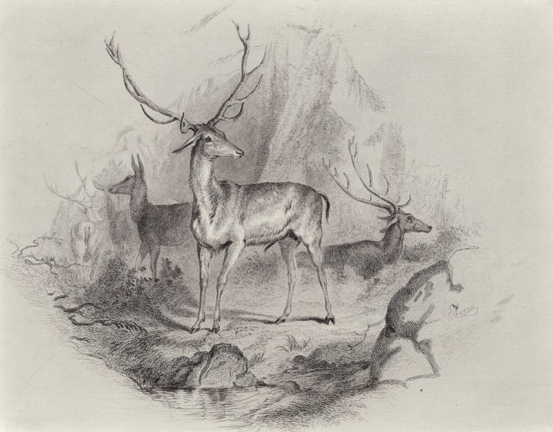 In the Glen by Edwin Landseer