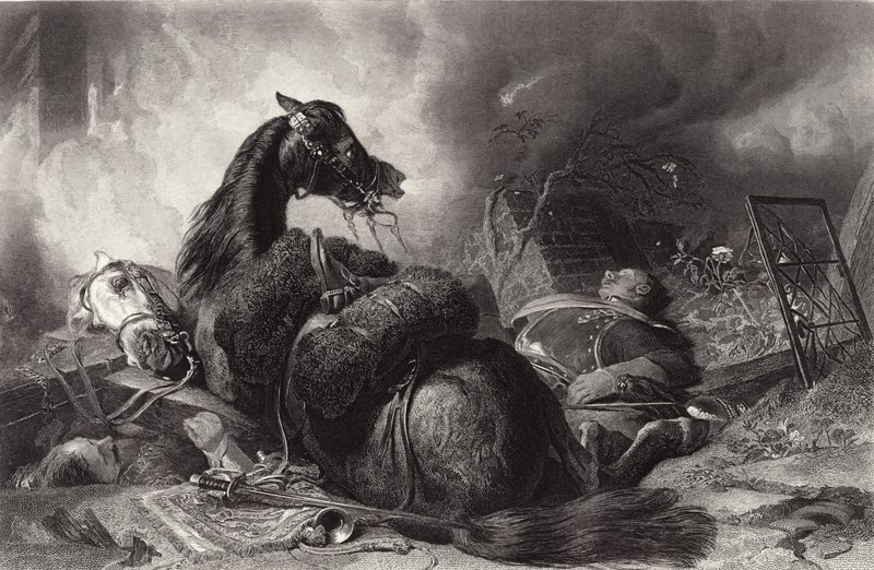 War by Edwin Landseer