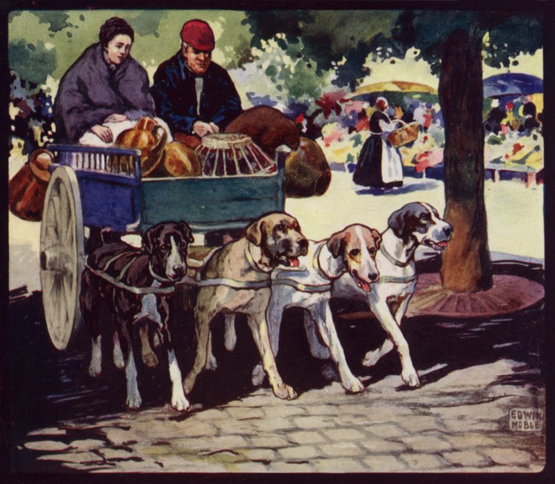 A French Dog-Cart by Edwin Noble