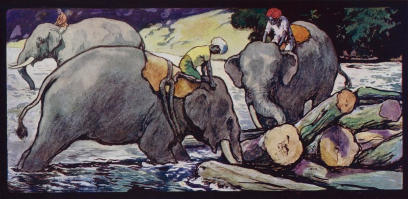 Elephants Handling Logs in River by Edwin Noble