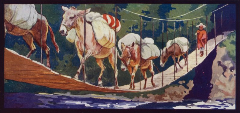 Mules crossing a Bridge by Edwin Noble