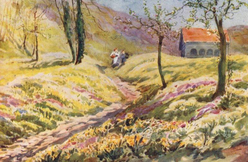 Switzerland by Effie Jardine