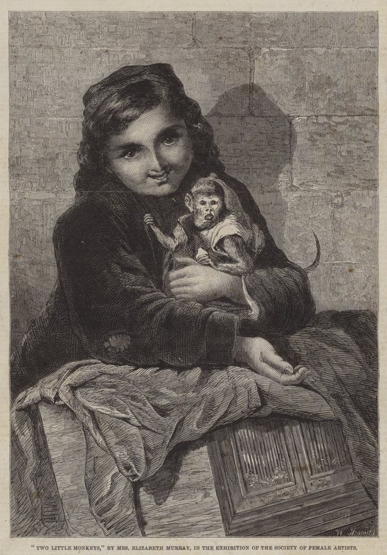Two Little Monkeys by Elizabeth Murray