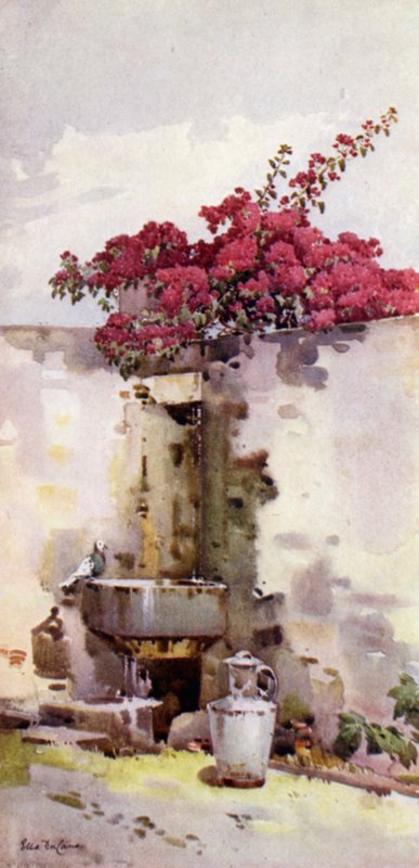 A Drinking Fountain by Ella Du Cane
