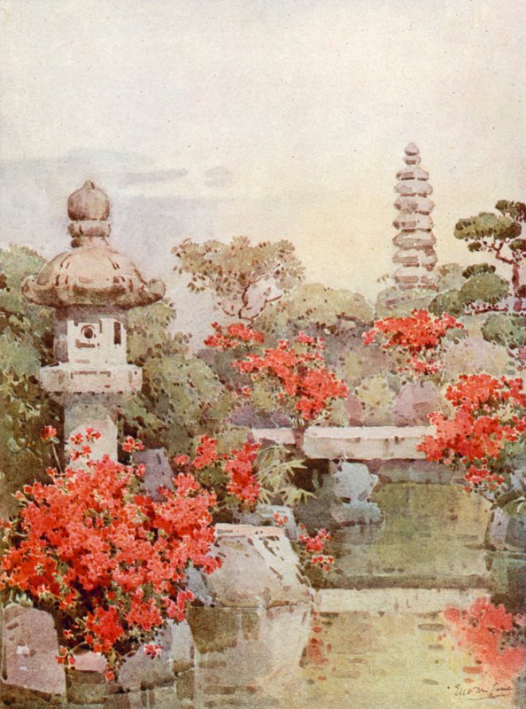 Azaleas, Kyoto by Ella Du Cane