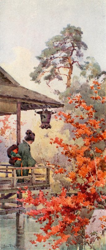 Viewing the Maples by Ella Du Cane